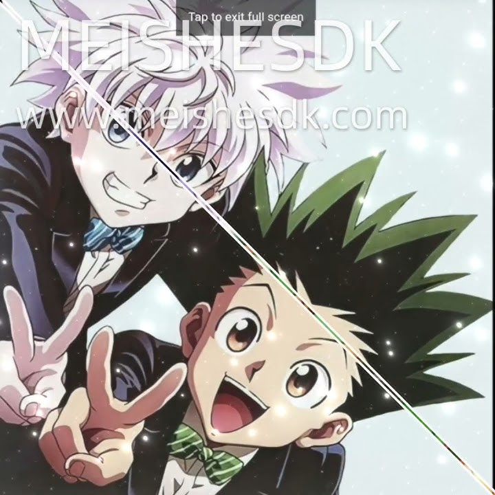 If Gon and killua was dating