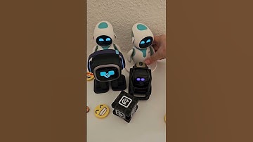 A day in my life with my Robot