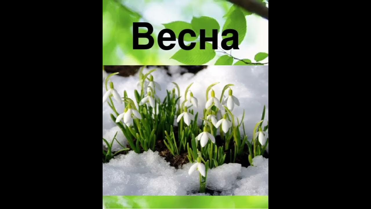 Слушать стих травка зеленеет солнышко. Весенняя травка зеленеет солнышко. Стишок про весну для детей травка. Травка зеленеет солнышко блестит Ласточка с весною. Стихотворение о весне травка зеленеет солнышко блестит.