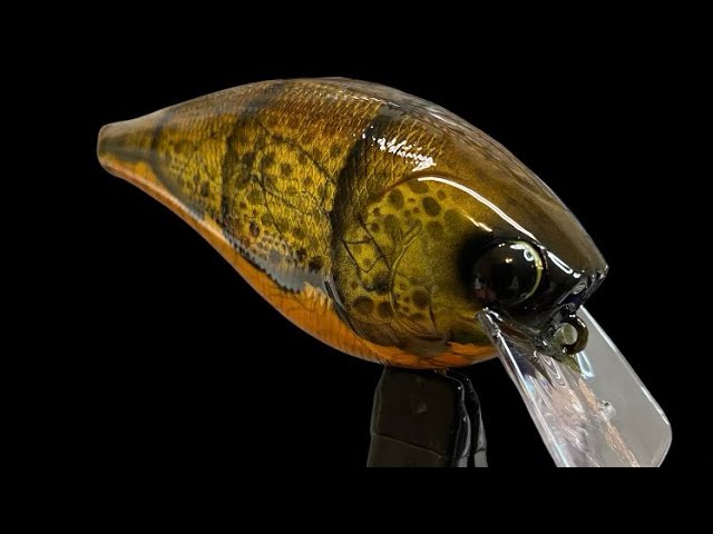 How to Paint a Rustic Gill/Sauger 