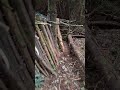 Bushcraft