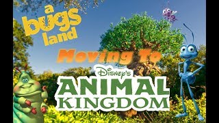 With the recent closure of a bugs land from california adventure, some
people believe attractions and theming could be coming to animal
kingdom. we'll br...