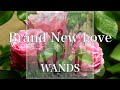 【歌詞付き】 Brand New Love/WANDS 【リクエスト曲】