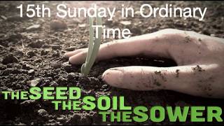 Fifteenth Sunday in Ordinary Time, 11:15AM, 7/12/2026