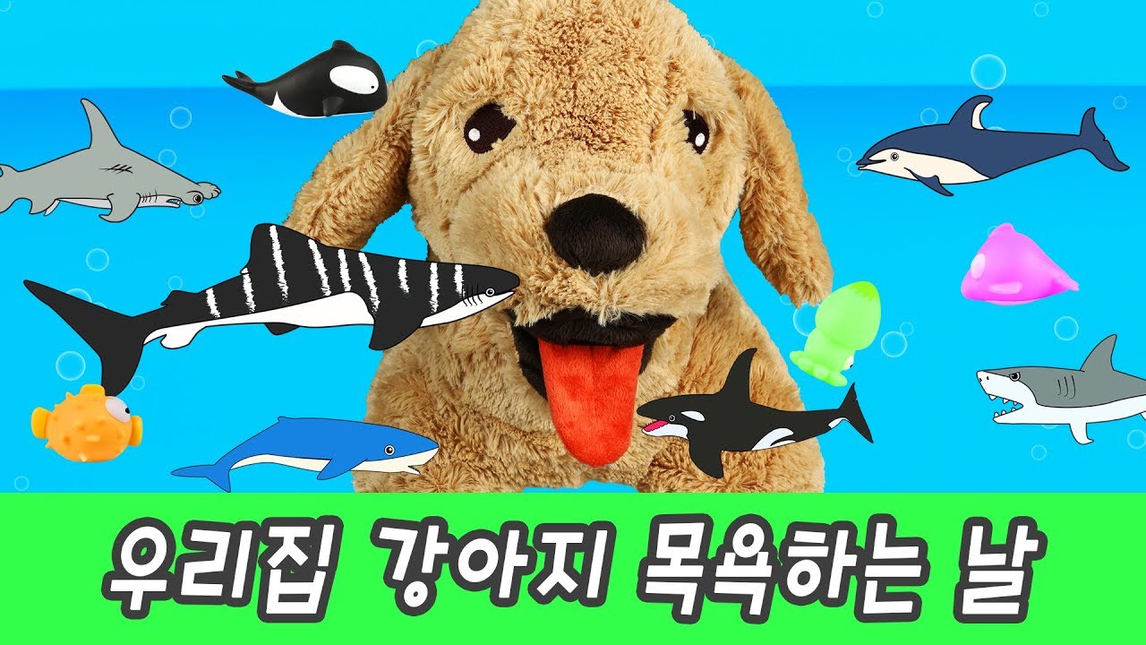 ⁣한국어ㅣ우리집 강아지 목욕시키기! 동물이름 맞추기, 어린이 동물 만화ㅣ꼬꼬스토이