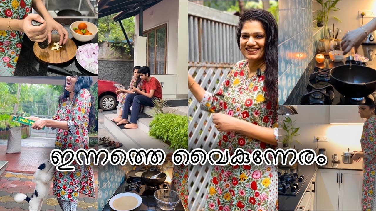 എല്ലാരേം പരിചയപ്പെടാം കൂട്ടത്തിൽ ഒരു കുഞ്ഞു പിസ്സ പാർട്ടിയും 🤩🤗| Evening Vlog
