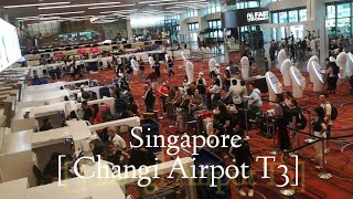 Bandara Singapura 4k