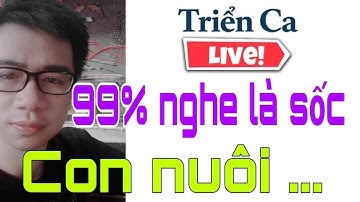 Sự thật khủng khiếp | Con nuôi chơi chiêu này 99% nghe là SỐC. Triển Ca Vlog livestream tối 10/11