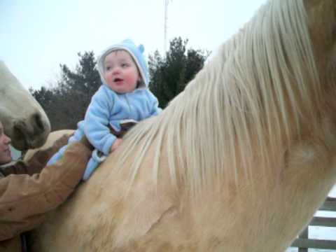 baby riding horse