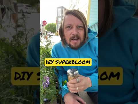 Видео: Guerrilla Grow Guide - Научете за Guerrilla Garden Seed Bombs