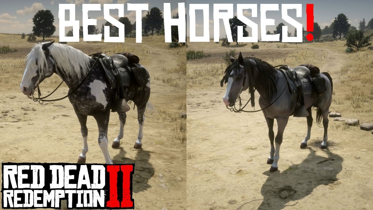Мустанг рдр. Мустанг rdr 2. Red Dead Redemption 2 Horses. Андалузская rdr2. Фокстроттер лошадь в rdr2.