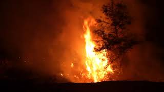 CR/CP Humboldt/CCC Wildland Fire Academy
