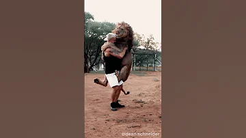 Lion Jump 
