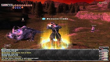 Final Fantasy XI Online: Even More Various Abyssean NMs