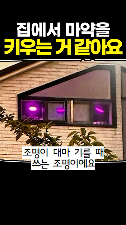 집에서 마약을 키우는 거 같아요