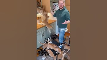 #AI#ArtificialIntelligence#AIMagic#AIShorts#ChatGPT#OpenAI#FutureTech#AIVideo#AITools#AIFuture