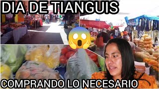 Fui al tianguis a comprar fruta y verdura  les muestro que compre y cuánto me gaste #compras