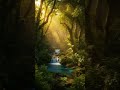 Jungle Whispers: Nature’s Hidden Soul 🍃 #shorts #shortsfeed #shortsviral #shortsvideo #viral