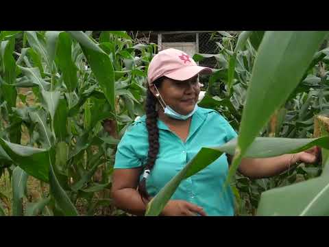 “El Alma de la Cuenca”, dedicado a la región de Trinidad
