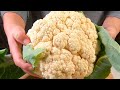 花菜炒肉，有人油炸有人焯水有人直接炒，都不對，博士教你正確做法，能與廚師長教的干鍋花菜有一拼，健康衛生又嫩還好吃，下酒又下飯。