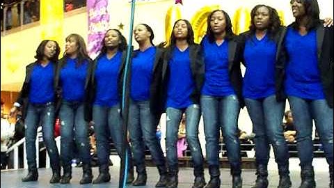 Zeta Phi Beta Rho Alpha Chapter Fall 2010 Probate at Hampton University