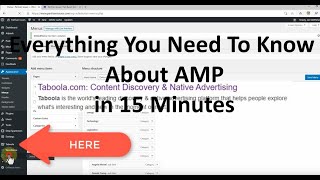 Everything About AMP in 15 Minutes - What is AMP, Installation, Configuration, Advertising
