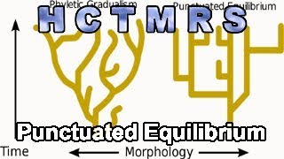 How Creationism Taught Me Real Science 66 Punctuated Equilibrium
In this episode we examine how the evolutionists dealt with the fossil record after seeing a lack of transitional fossils.
References:
Creationist Arguments
https://creation.com/punctuated-equilibrium-come-of-age
http://www.creationdefense.org/76.htm
https://answersingenesis.org/theory-of-evolution/do-evolutionists-believe-darwins-ideas-about-evolution/
http://www.icr.org/radio/188
Speciating Worms
Weinberg, J. R., V. R. Starczak and P. Jora. 1992. Evidence for rapid speciation following a founder event in the laboratory. Evolution. 46:1214-1220
https://onlinelibrary.wiley.com/doi/abs/10.1111/j.1558-5646.1992.tb00629.x
Huxleys Correspondence
https://www.darwinproject.ac.uk/letter/DCP-LETT-2544.xml
Eldredges Paper: The allopatric model and phylogeny in Paleozoic invertebrates
http://digitallibrary.amnh.org/bitstream/handle/2246/6568/10.5531sd.paleo.8.pdf?sequence=1&isAllowed=y
Gould and Eldredges papers: Punctuated equilibria: an alternative to phyletic gradualism
http://www.blackwellpublishing.com/ridley/classictexts/eldredge.pdf
Punctuated equilibria: the tempo and mode of evolution reconsidered.
http://www.blc.arizona.edu/courses/schaffer/182/Punct-Equilib/Gould%20Eldredge%20PE77.pdf
Bjorn A. Malmgren, W. A. Berggren and G. P. Lohmanns paper:
Evidence for Punctuated Gradualism in the Late Neogene Globorotalia tumida Lineage of Planktonic Foraminifera
https://www.jstor.org/stable/2400580?seq=1#page_scan_tab_contents How Creationism Taught Me Real Science 66 Punctuated Equilibrium