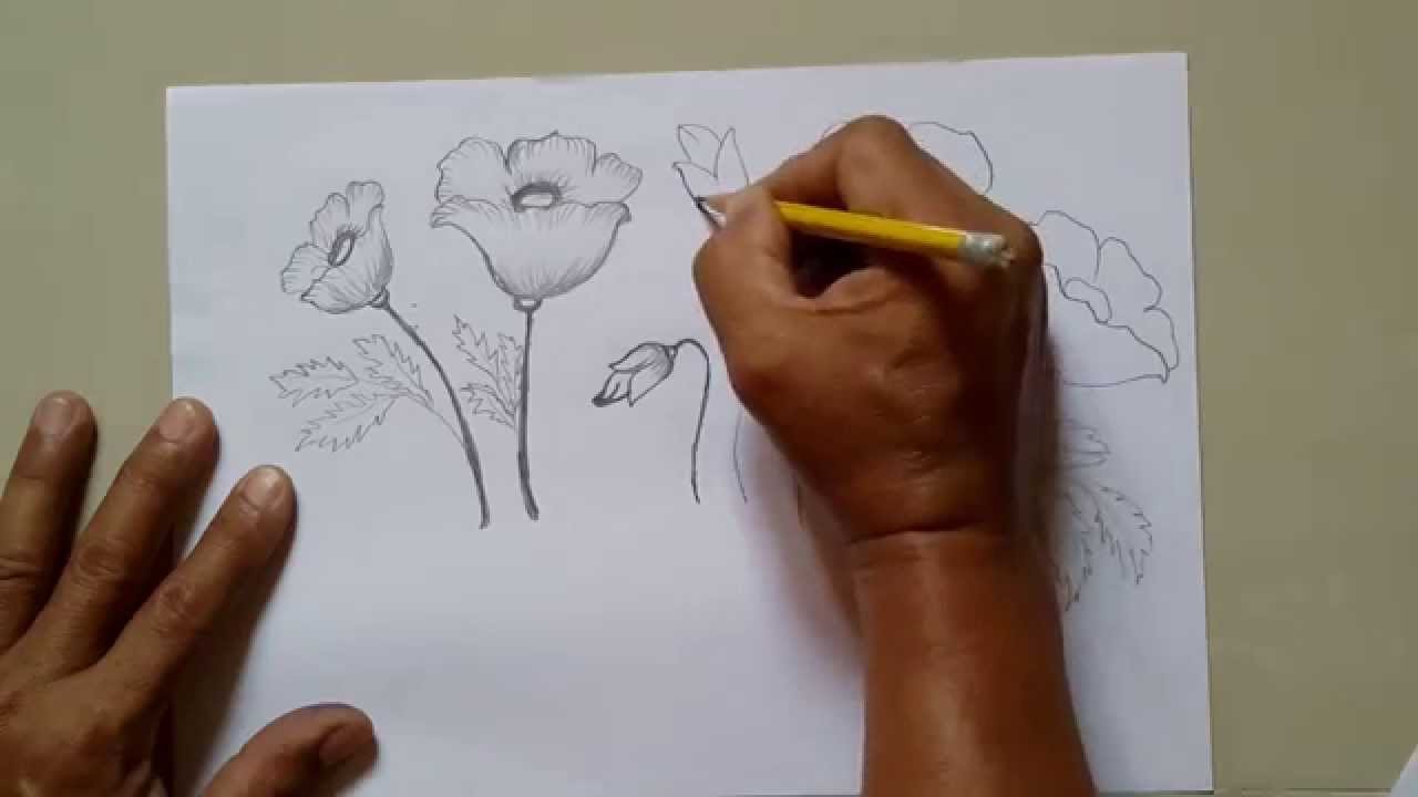 Come Disegnare Un Fiore Facilmente I Video Tutorial Donnad