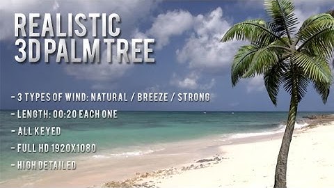Realistic 3D Animated Palm Tree Pack - Motion Graphics - Videohive - Royalty Free Footage