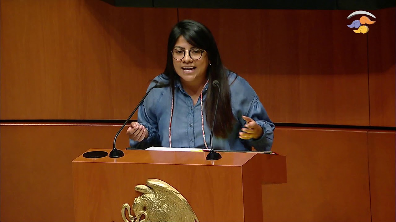 No ha existido crecimiento alguno desde segundo trimestre de 2019: Sen. Kempis movimiento ciudadano mexico