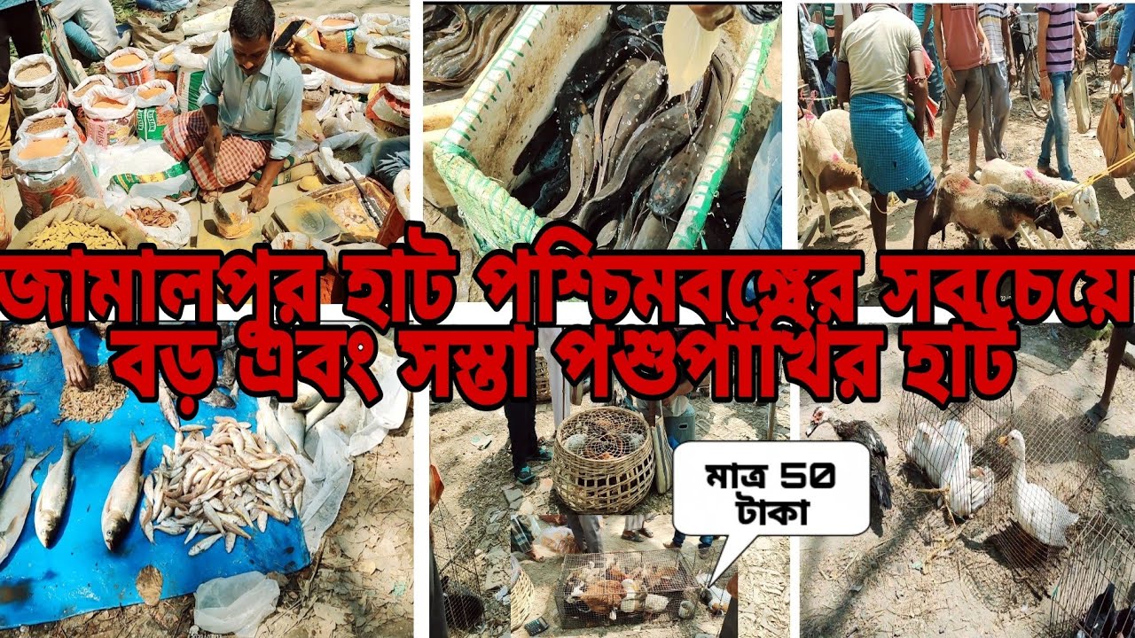 পশ্চিমবঙ্গের সবচেয়ে বড় এবং সস্তা হাট জামালপুর হাট😱 || 