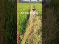 sam just enjoy the nature