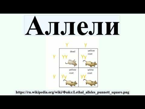Аллели