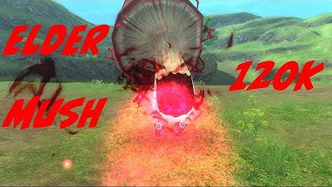 Elder Mush Hunt 120k TP Quick (46s) SAOIF