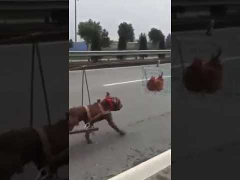 Chainis fhani video - YouTube