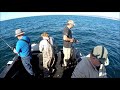 Bottom fishing and crabbing, Oregon coast 9/5/2020