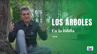 Los árboles en la Bíblia | Emergencias Bíblicas