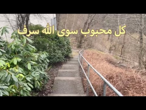 كل محبوب سوى الله سرف منصور السالمي