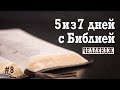 #8 // 5 дней из 7 с Библией челлендж