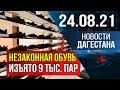 Новости Дагестана за 24.08.2021 года