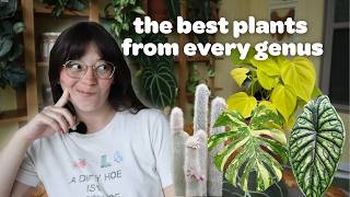 the two BEST HOUSEPLANTS from each genus | creating my PERFECT collection 🪴✨