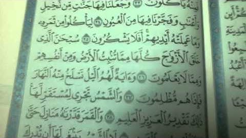 ما تيسر من سورة يس من صلاة العشاء