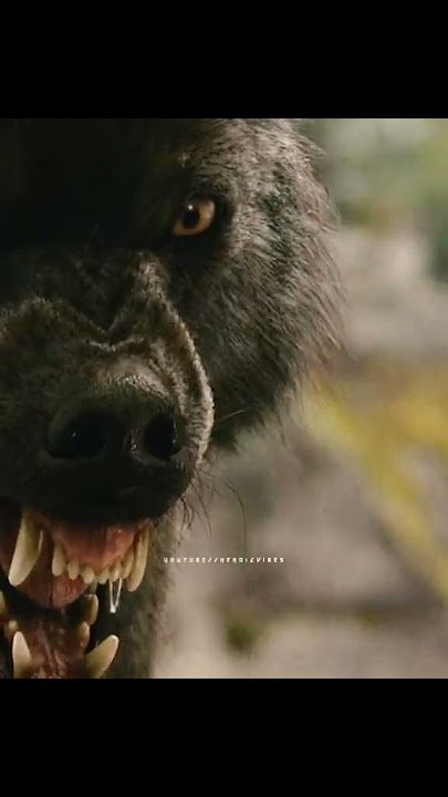 ◔ JACOB THE ALPHA 🥵 | Twilight breaking dawn pt 1 | Dior 🎶 #shorts #jacobblack #twilight #pattinson