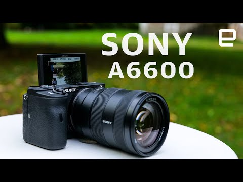 Sony A6600 review: A rare misstep