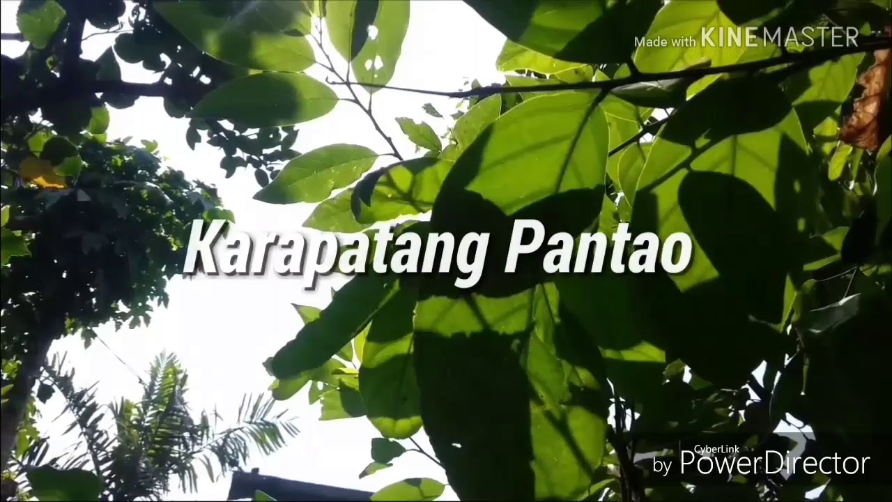 Karapatang Pantao Slogan Tungkol Sa Pagrespeto Sa Dignidad Ng Tao