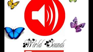 Видео Звук взрыва (автор: World sounds)