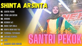 SHINTA ARSINTA - SANTRI PEKOK - FULL ALBUM