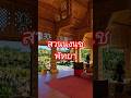สวนนงนุชพัทยา  #travel #music