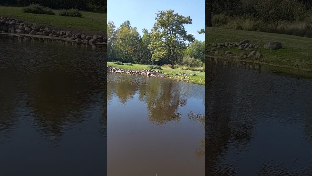 Wedding Ceremony site overlooking the pond! Central Minnesota wedding venue.