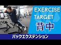 バックエクステンション【背中】